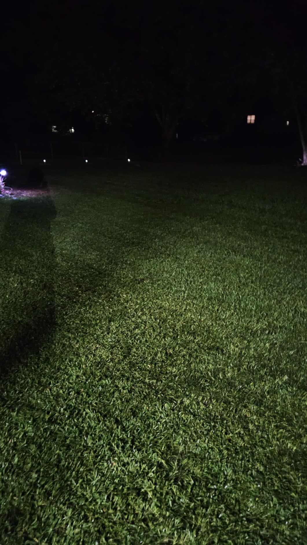 Soft Soil Liquid Soil Aerator & Lawn Treatment to Fix Compacted Soils, Improve Drainage with Non-Mechanical Liquid Application. 1 Gallon customer photo 2