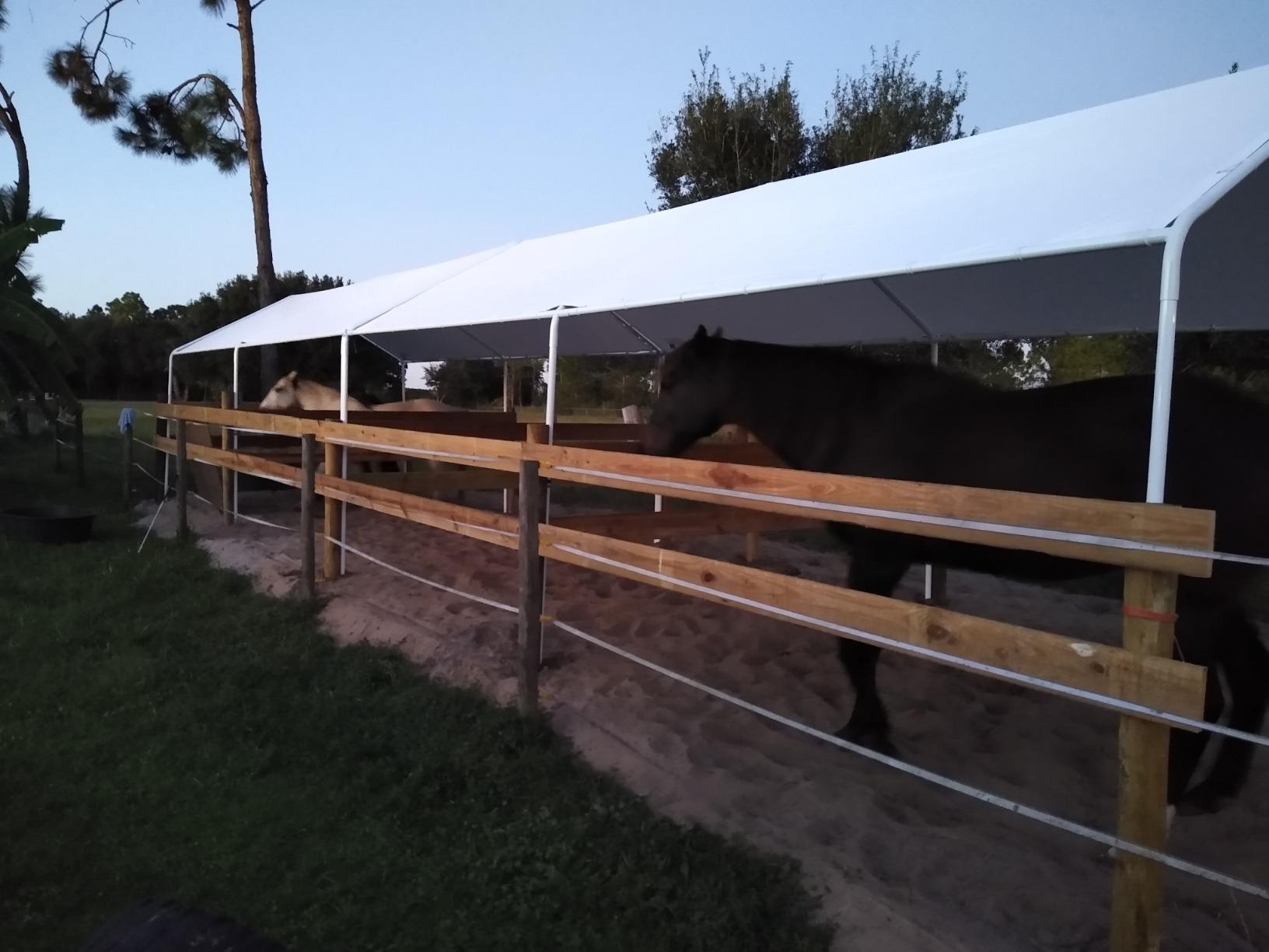 Quictent 10x20 ft Heavy Duty Carport Canopy Galvanized Car Tent Outdoor Garage Boat Shelter with Reinforced Structure, No Sidewall - Green customer photo 2