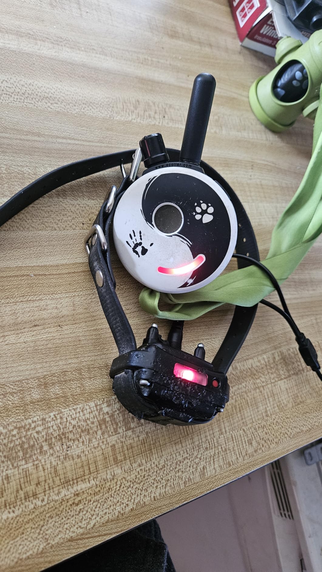 Educator ET-300 Black Mini E Collar for Dog Training with Remote - 1/2 Mile Range, Waterproof, 100 Blunt Stimulation Levels, Tone or Vibration Mode, Night Light Tracking for Small, Medium & Large Dogs customer photo 2