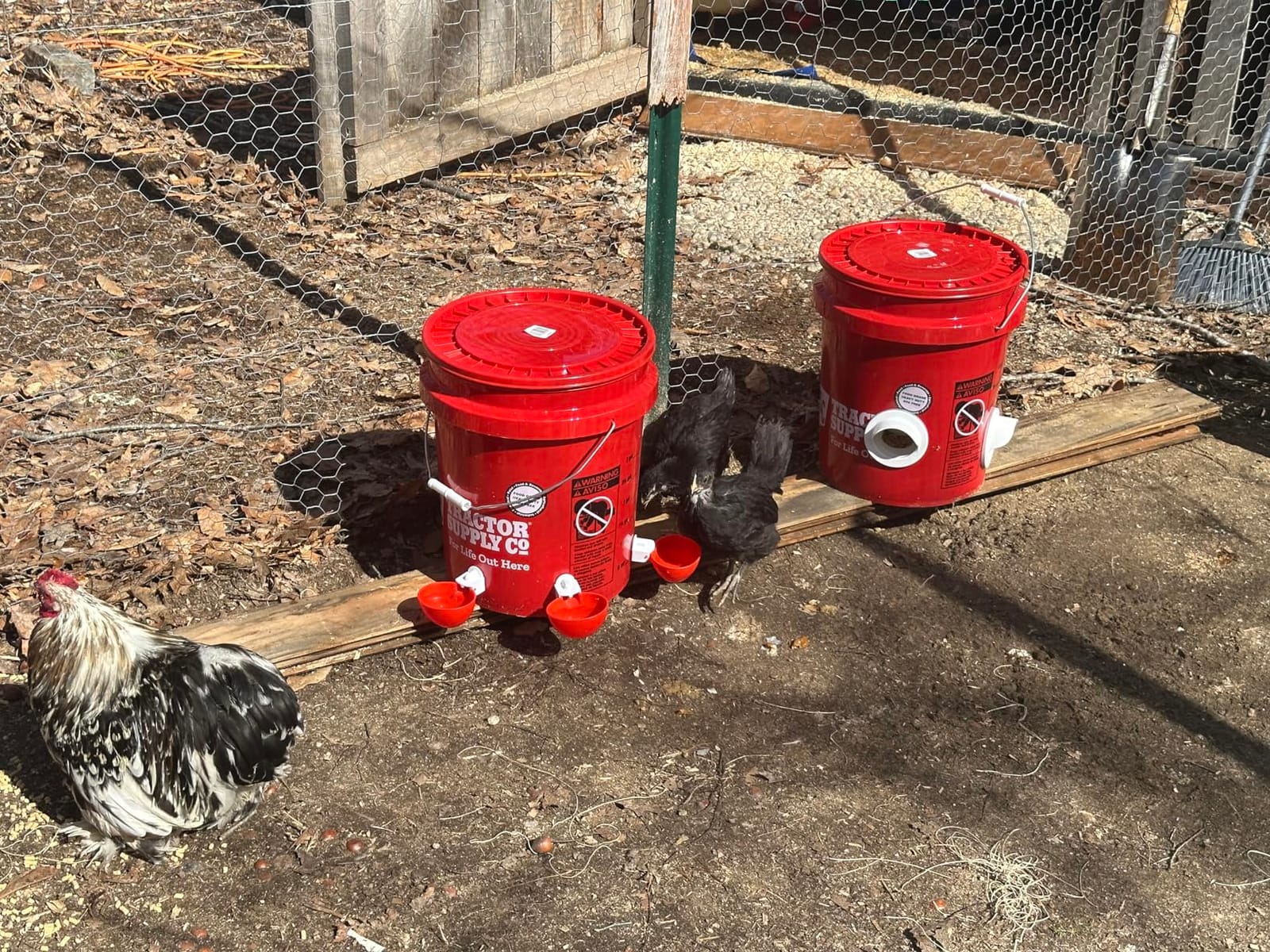 Poultry Pro DIY Chicken Feeder Kit, Weatherproof, 3 Ports & Hole Saw customer photo 1