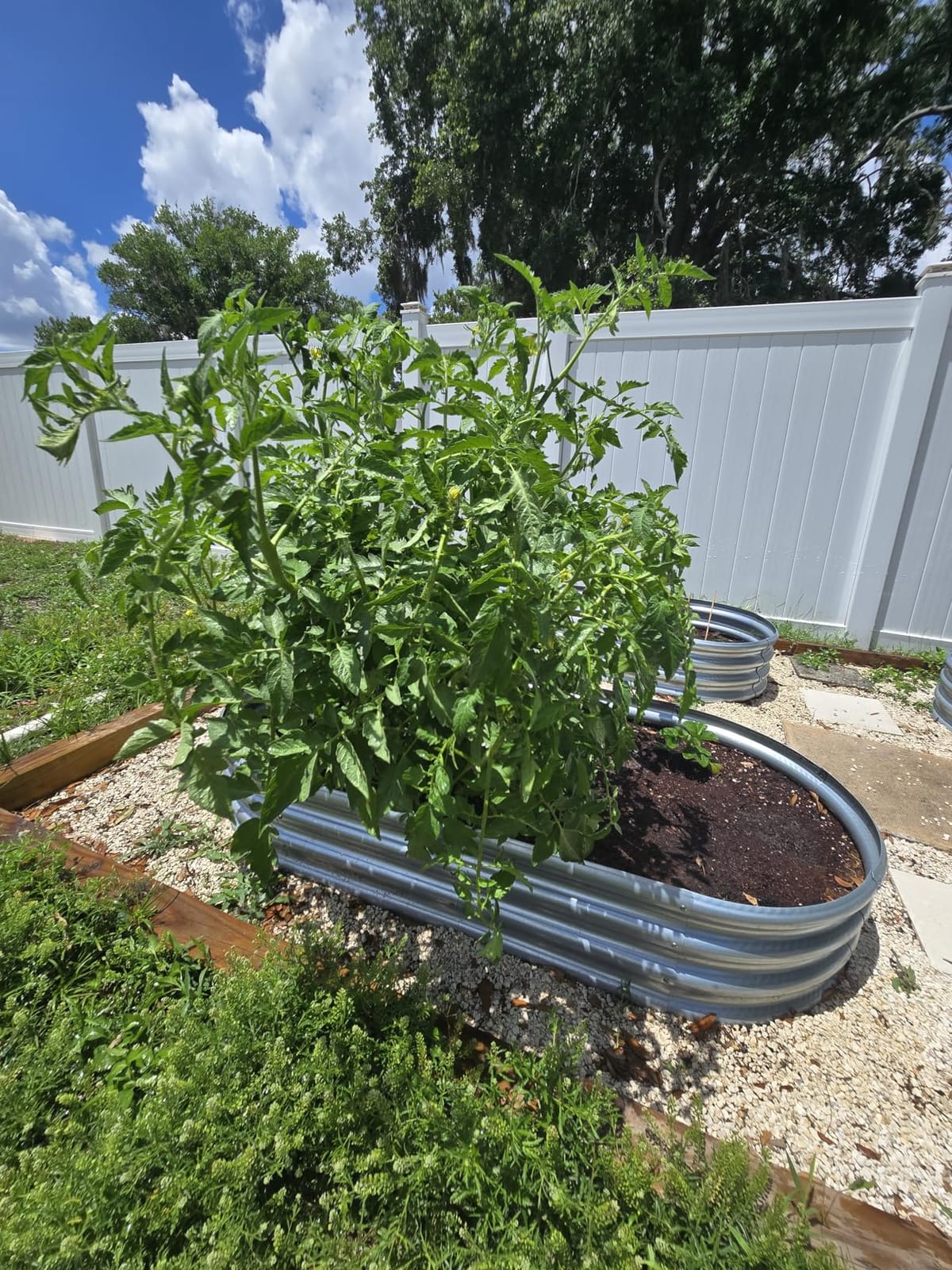 Rakukiri Raised Garden Bed GRS Certified Galvanized Planter Box Outdoor, 5ft Oval Rot-Resistant Metal Garden Bed Planter, Recycled Material Planter for Vegetables Flowers Herbs (Silver) customer photo 2