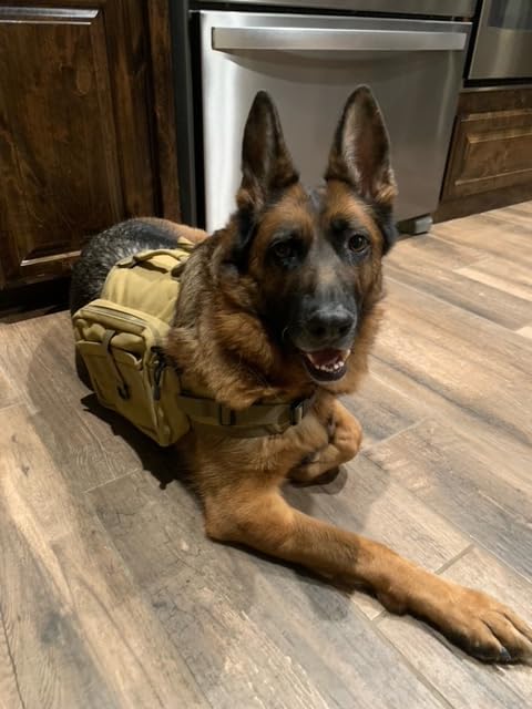 Himal Outdoors Dog Backpack & Saddle Bag, Tactical Hiking Backpack Brown customer photo 1