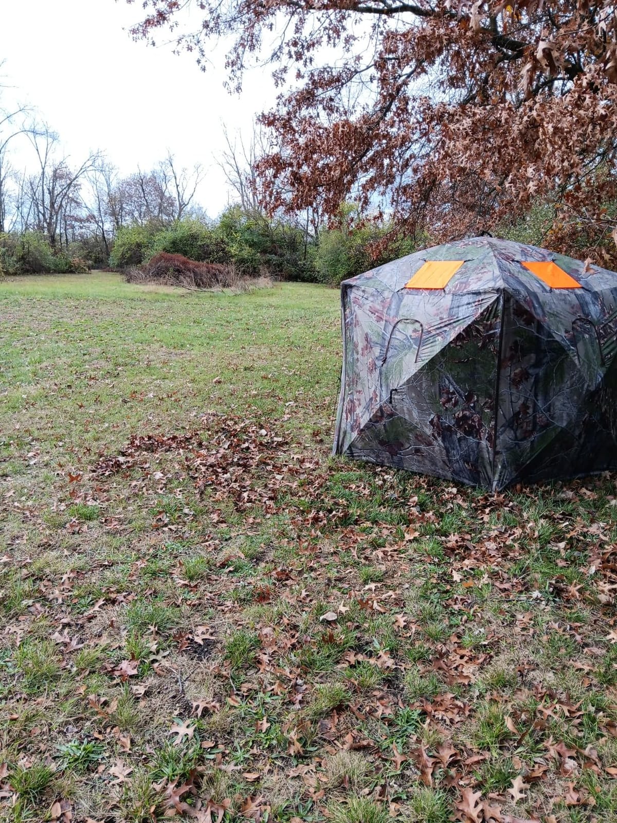 Barronett Blinds® Feather Five, Portable Hunting Blind, Huge Interior, Lightweight, 4-Person, Bloodtrail® Backwoods, 72” x 84” x 84”, FF500BW customer photo 1