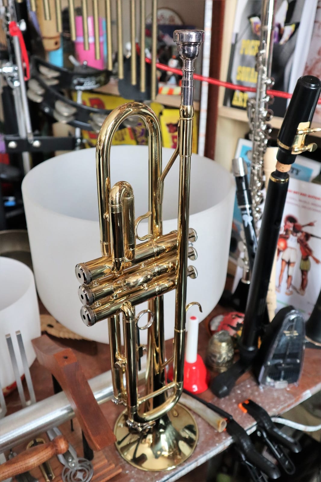 Student Bb Trumpet, Gold Finish Brass for School Band Orchestra Beginners customer photo 1