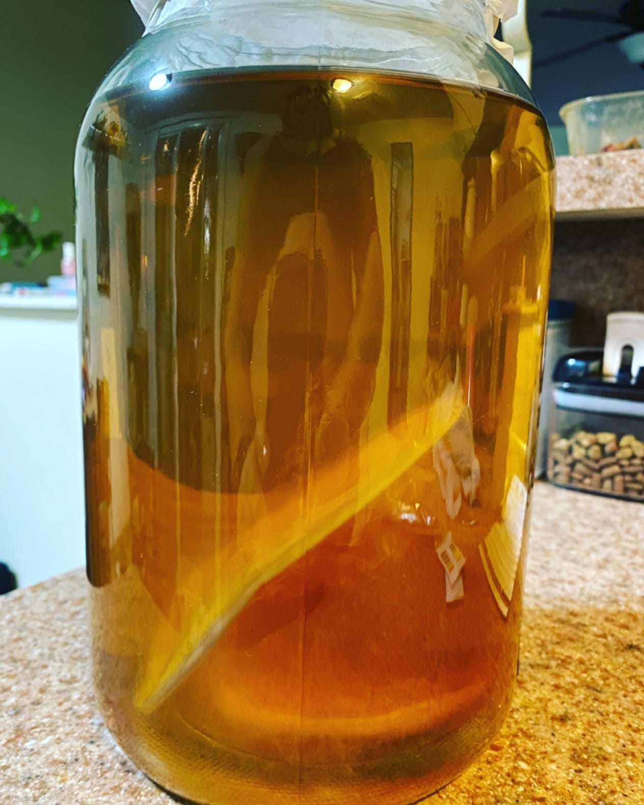 Deluxe Kombucha Starter Kit with Kombucha SCOBY & Starter Tea, Full Kombucha Kit with Bottles Swing Top Glass Bottles Kombucha Brewing Kit + 6 Bottles to Flavor Kombucha (Clear Bottles) customer photo 1