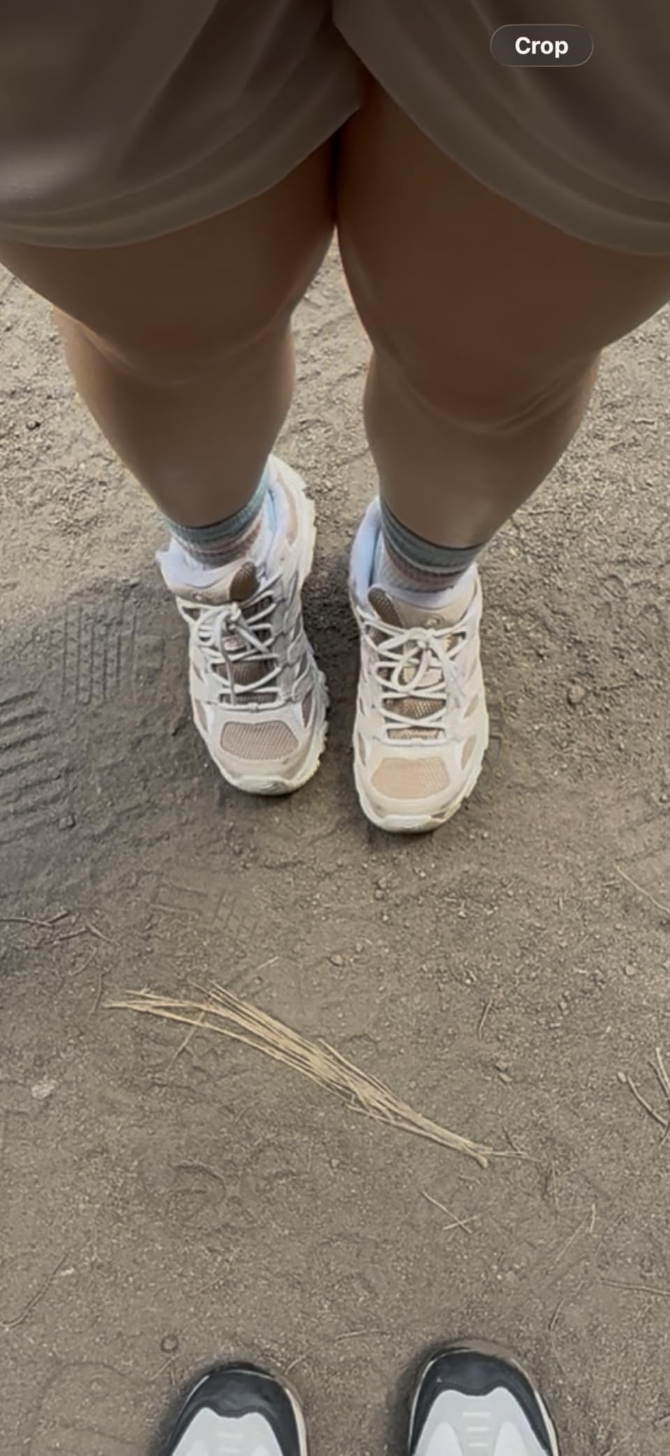 Merrell Women's Moab 3 Hiking Shoes customer photo 2