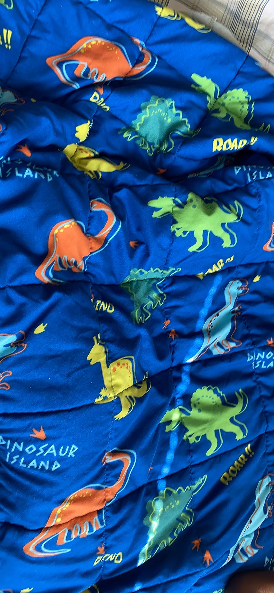 Kivik Weighted Blanket 3lbs, Cooling Blue Dinosaur Heavy Blankets, 36