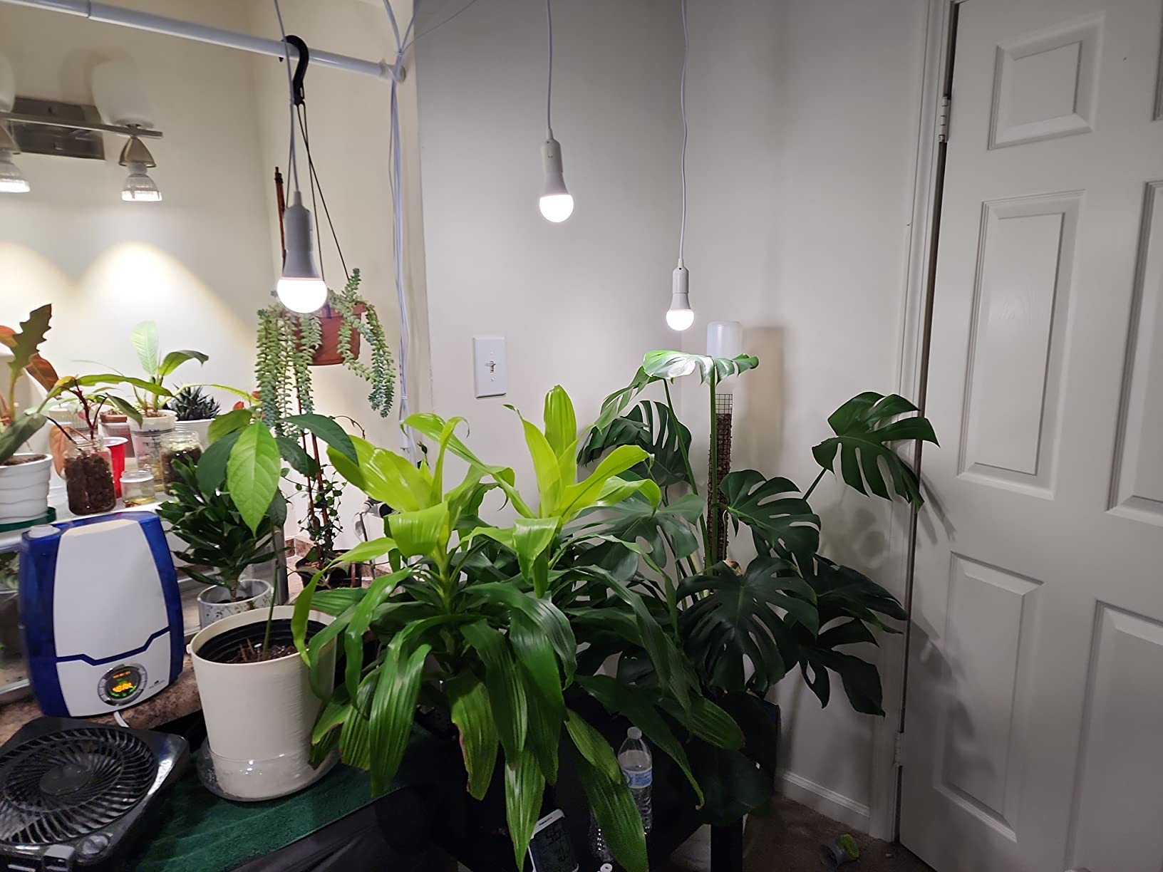 2 Pack LED Grow Light Bulbs，Full Spectrum Plant Light Bulb, 9W Replace 100W customer photo 2