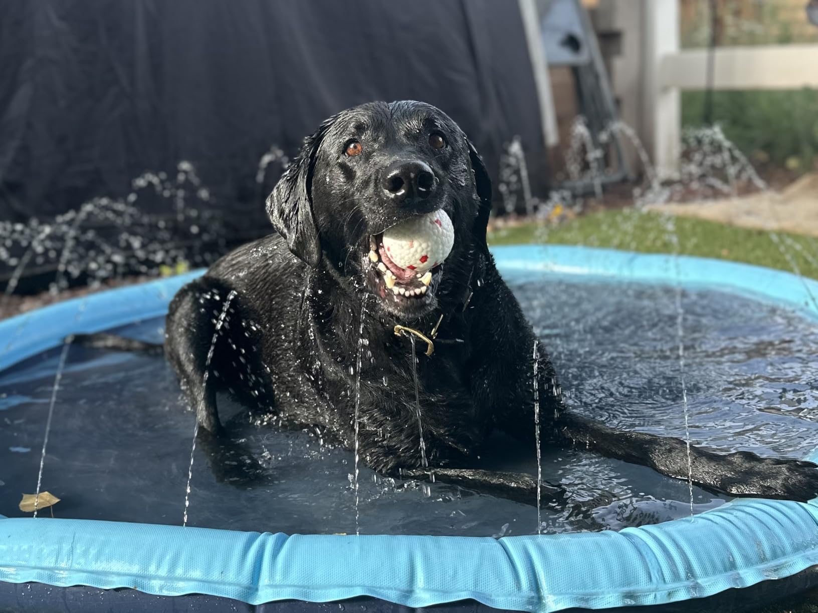 Raxurt Non-Slip Splash Pad for Kids and Dog, 67'' Splash Pad Thicken 0.58mm for Kids Ages 4-8 Toddler Baby Splash Sprinkler Pad Dog Pool Summer Outdoor Water Toys for Boys Girls customer photo 1