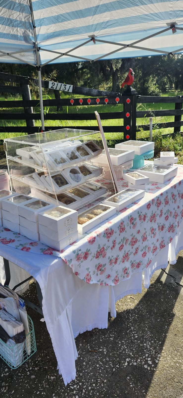 YBSVO 3-Tier Commercial Bakery Display Case customer photo 1