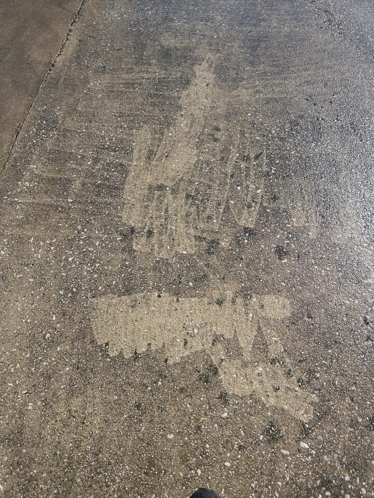 JANZ 14'' Pressure Washer Surface Cleaner customer photo 1