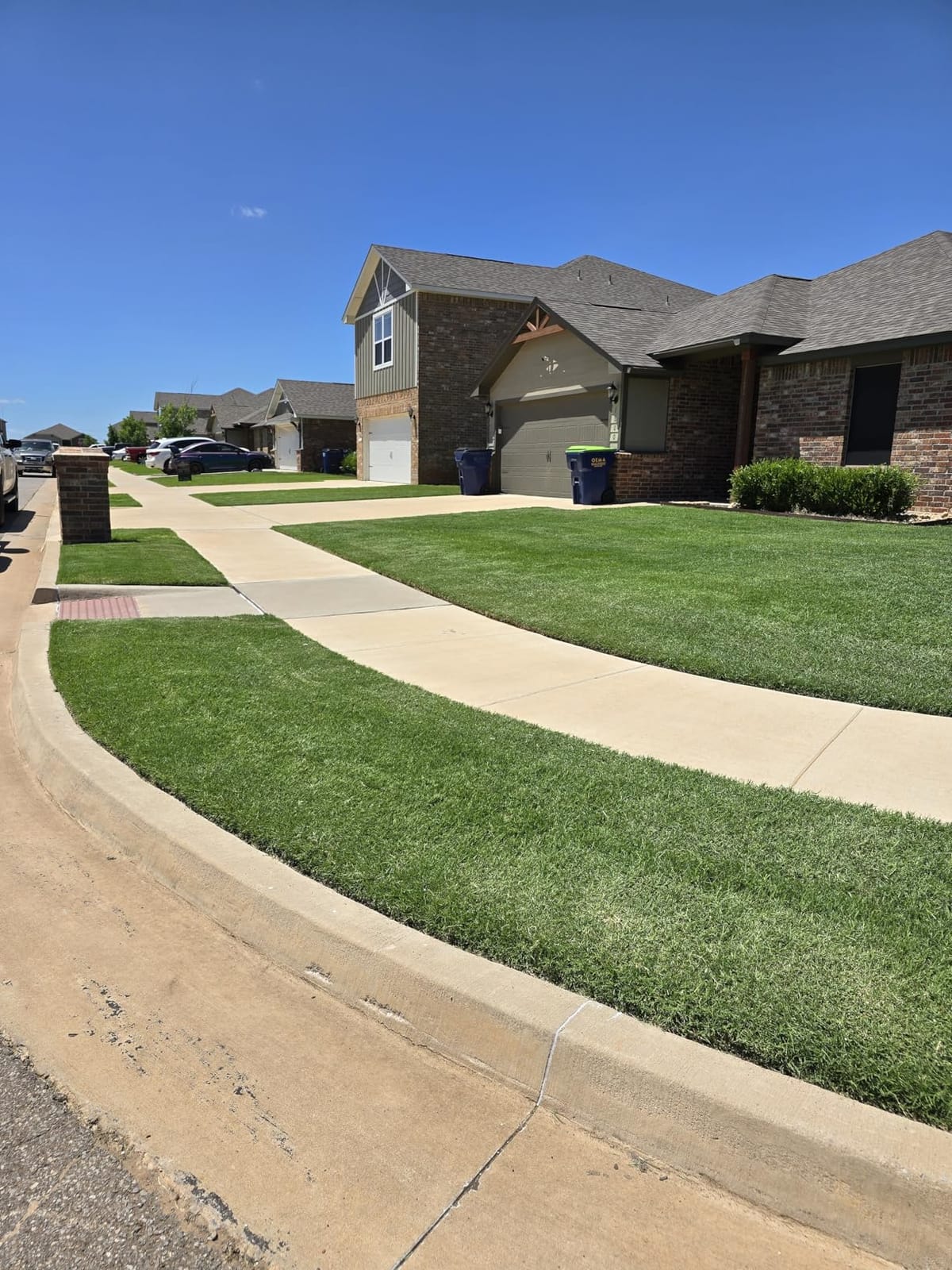 Greenworks 40V 8 in Cordless Electric Lawn Edger, 4.0 Ah Battery, Charger customer photo 1