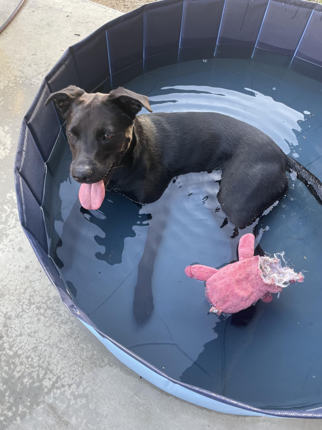 Jasonwell Foldable Dog Pet Bath Pool Collapsible Dog Pet Pool Bathing Tub Kiddie Pool Doggie Wading Pool for Puppy Small Medium Large Dogs Cats and Kids 71