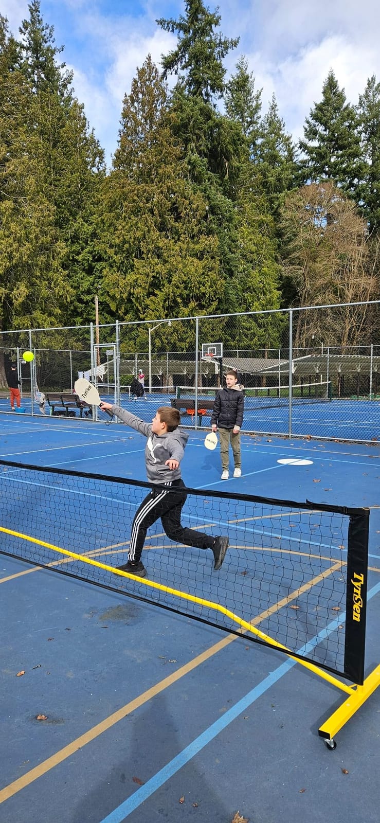 Pickleball Net Set, Pickleball Net on Wheels for Driveway Backyard, 22FT Regular Size, 4 Pickleball Paddles & 6 Balls, 12 Court Markers, 1 Carry Bag, Pickleball Set for Indoor Outdoor Play customer photo 2