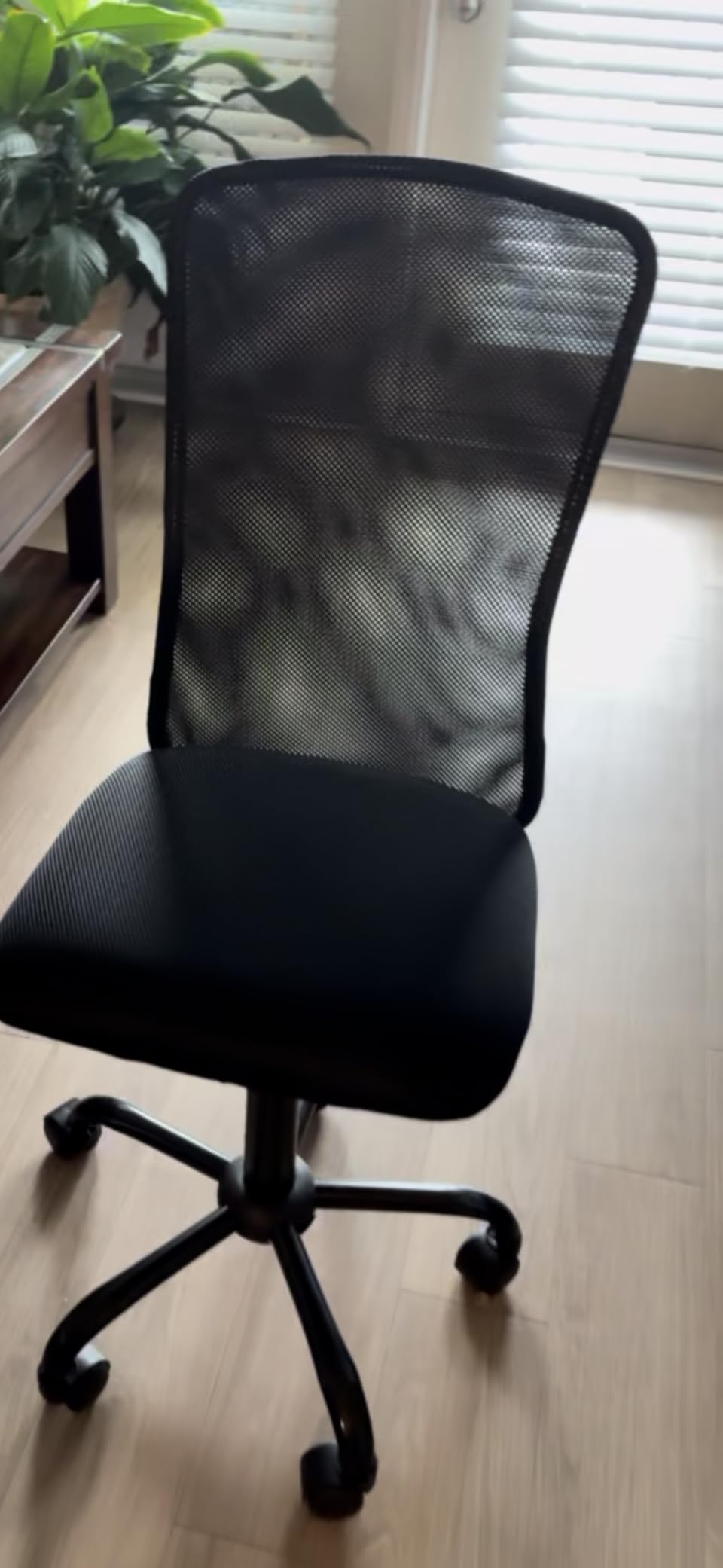 Armless Office Rolling Chair Mesh Small Computer Chair Ergonomic Swivel Office Chairs No Arms with Lumbar Support, Teen Desk Chairs Stool with Wheels Adjustable Task for Adults and Kids, White customer photo 2