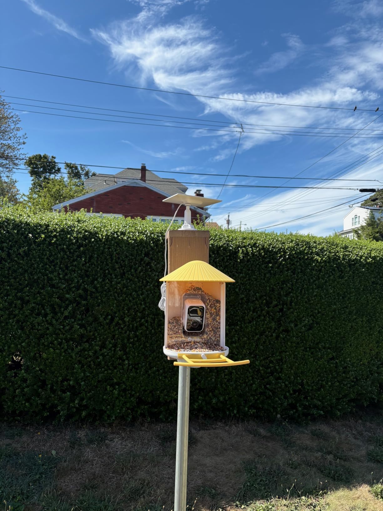 NETVUE by Birdfy Smart Bird Feeder with 2K AI Camera, Value for Beginners customer photo 1