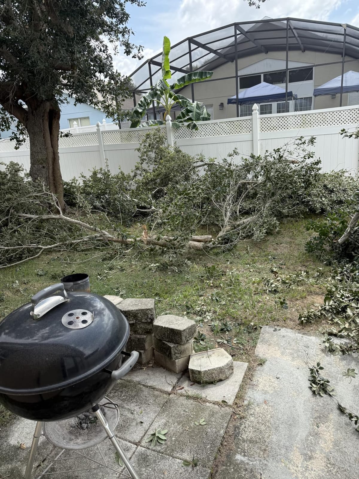 14FT Pole Saw for Tree Trimming 2-in-1 Hand Saw Steel Blade Extension Pole customer photo 2