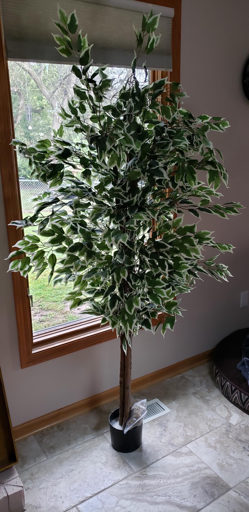 GTIDEA 6FT Artificial Ficus Tree with Real Wood Trunks, Faux Tree Indoor customer photo 1