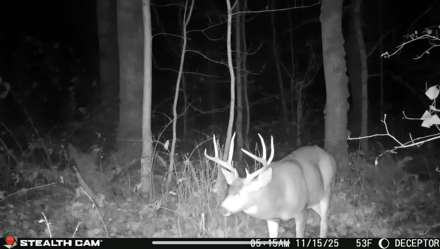 Stealth Cam Deceptor No 80ft IR 40MP 1440P HD Cellular Trail Camera customer photo 2