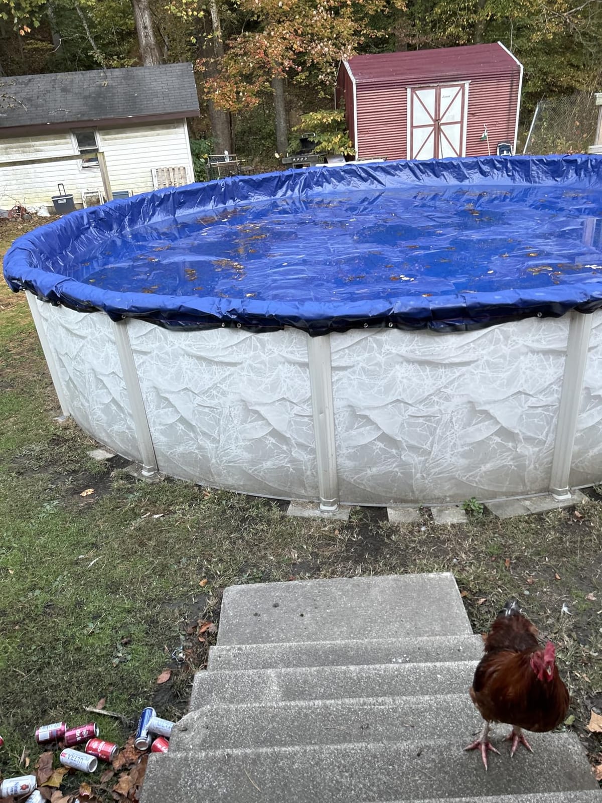 24 ft Round Winter Pool Cover for Above Ground Pools, Navy Blue, Resistant customer photo 1