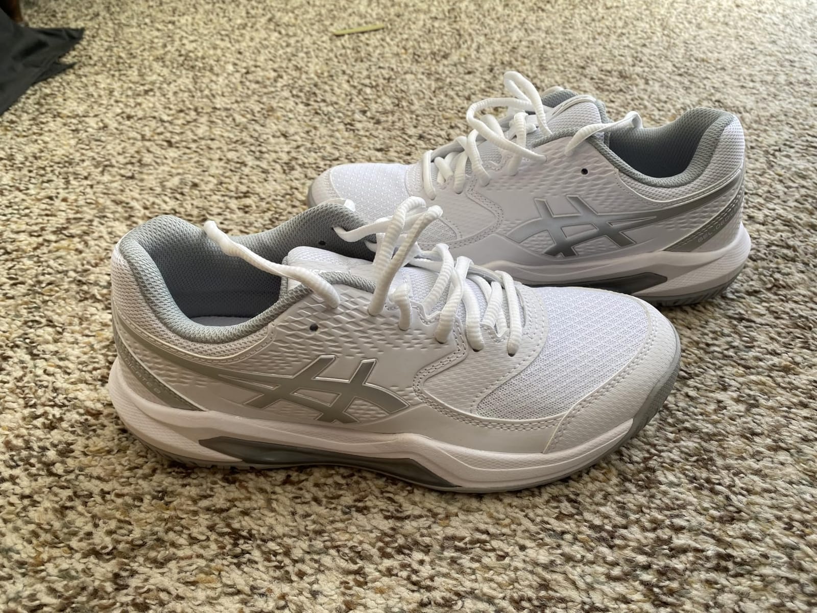 ASICS Women's Gel-Dedicate 8 Tennis Shoes customer photo 1