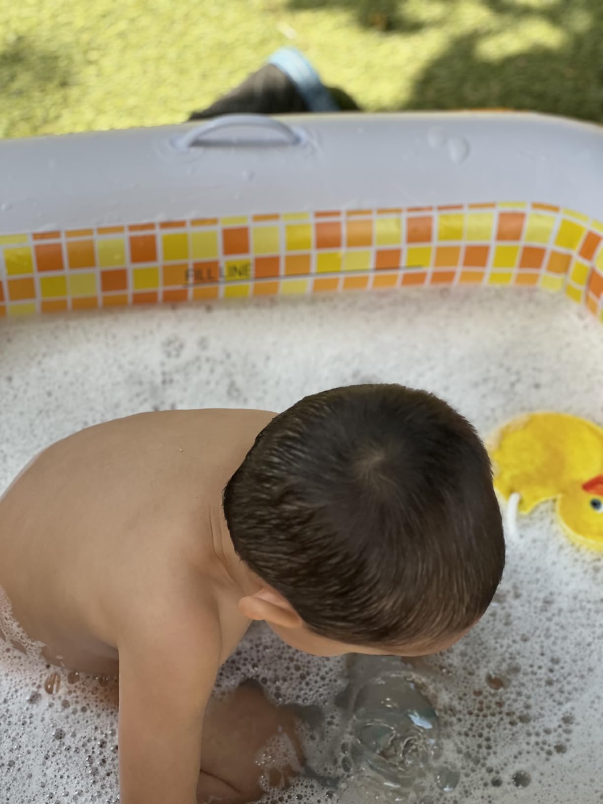 3-in-1 Premium Inflatable Kiddie Pool, Ball Pit & Tanning Pool, Soft Cushioned Floor, Handles, Drain, Shallow Rectangular Blow Up Swimming Pool for Kids, Small Backyard Tanning Pool - 65