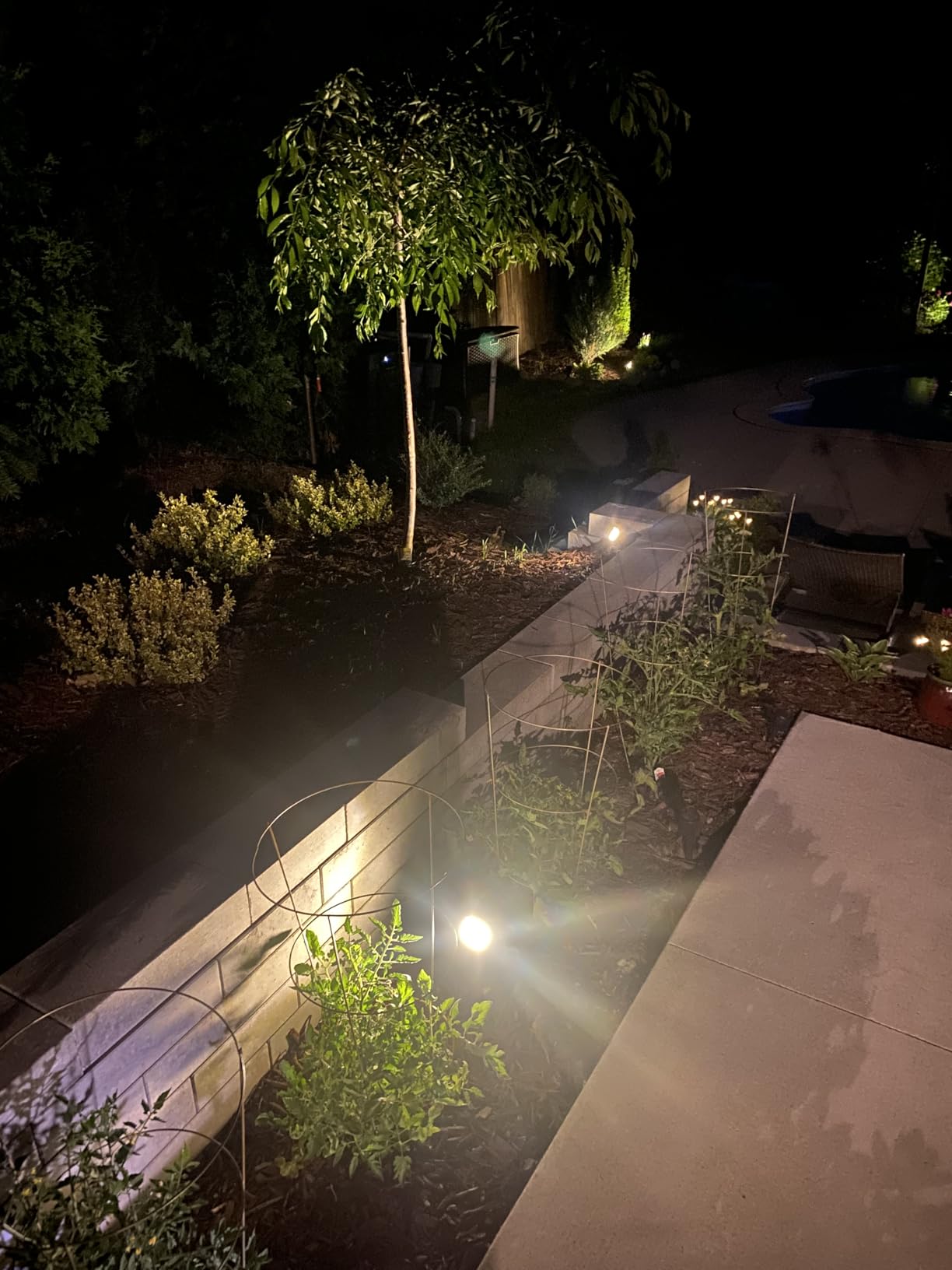 WENATY Solar Spot Lights Outdoor Waterproof Spotlights 12 Pack Warm White | 46LED, 3 Mode, Auto On/Off Landscape Spotlights Solar Powered Flood Lights for Outside Pathway Yard Garden House Walkway Tree customer photo 1
