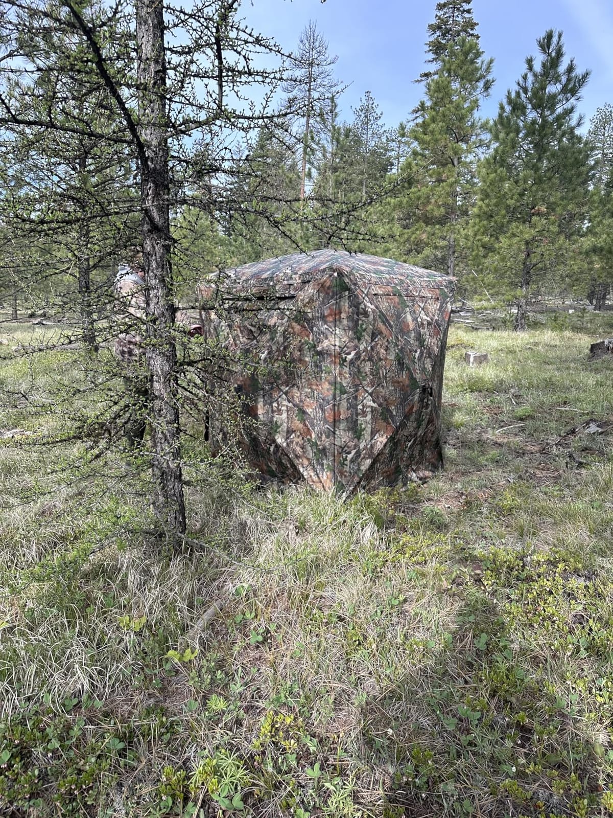 Lenotos Hunting Blind, 2 Person Pop Up Blinds 360 Degree See Through, Portable Durable Hunting Ground Blinds for Deer & Turkey Hunting customer photo 2