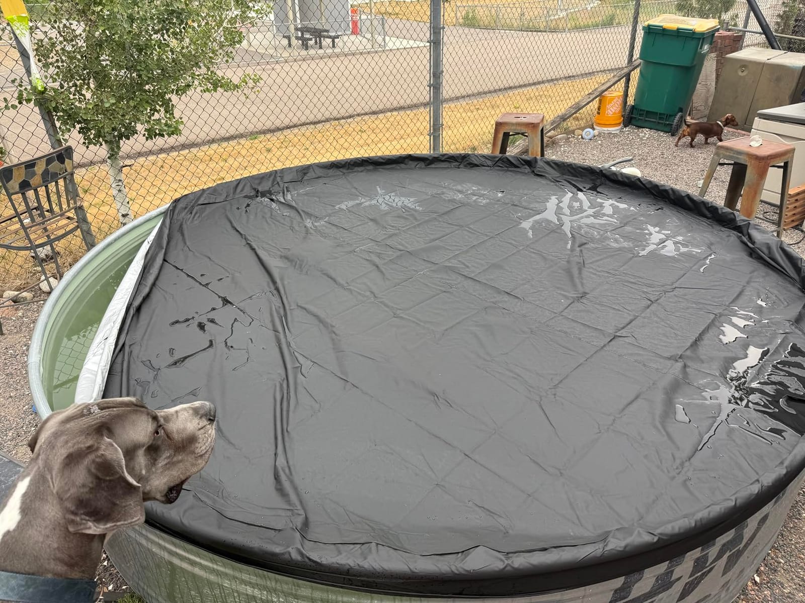 Stock Tank Pool Cover 210D Oxford Cloth is Waterproof, UV Resistant, and Dustproof Round Stock Tank Pool Cover (8ft,Black) customer photo 2