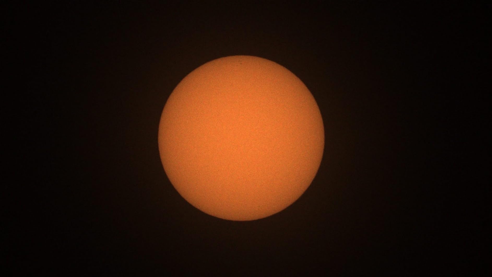 Celestron EclipSmart Universal Solar Filter for Telescopes customer photo 1