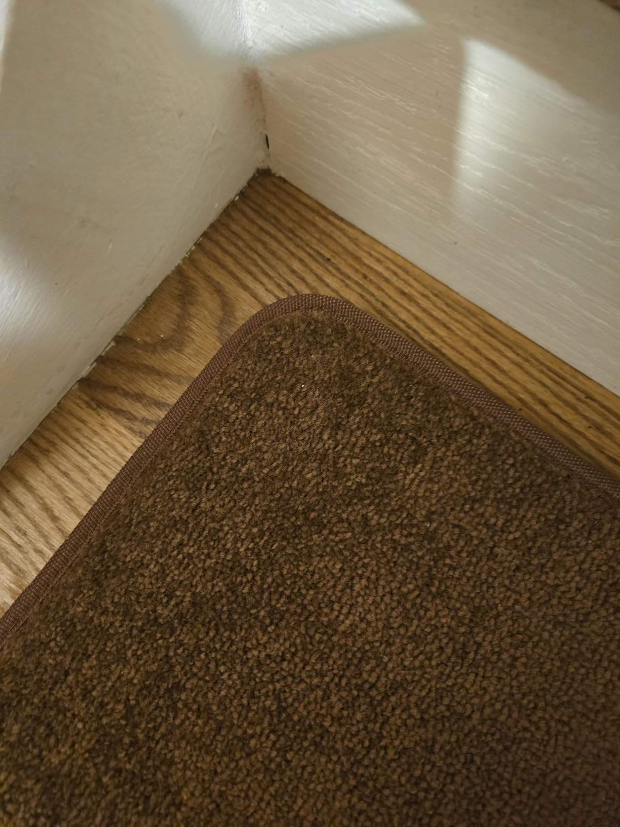 PURE ERA Bullnose Carpet Stair Treads for Wooden Steps Indoor 14 Pcs customer photo 1