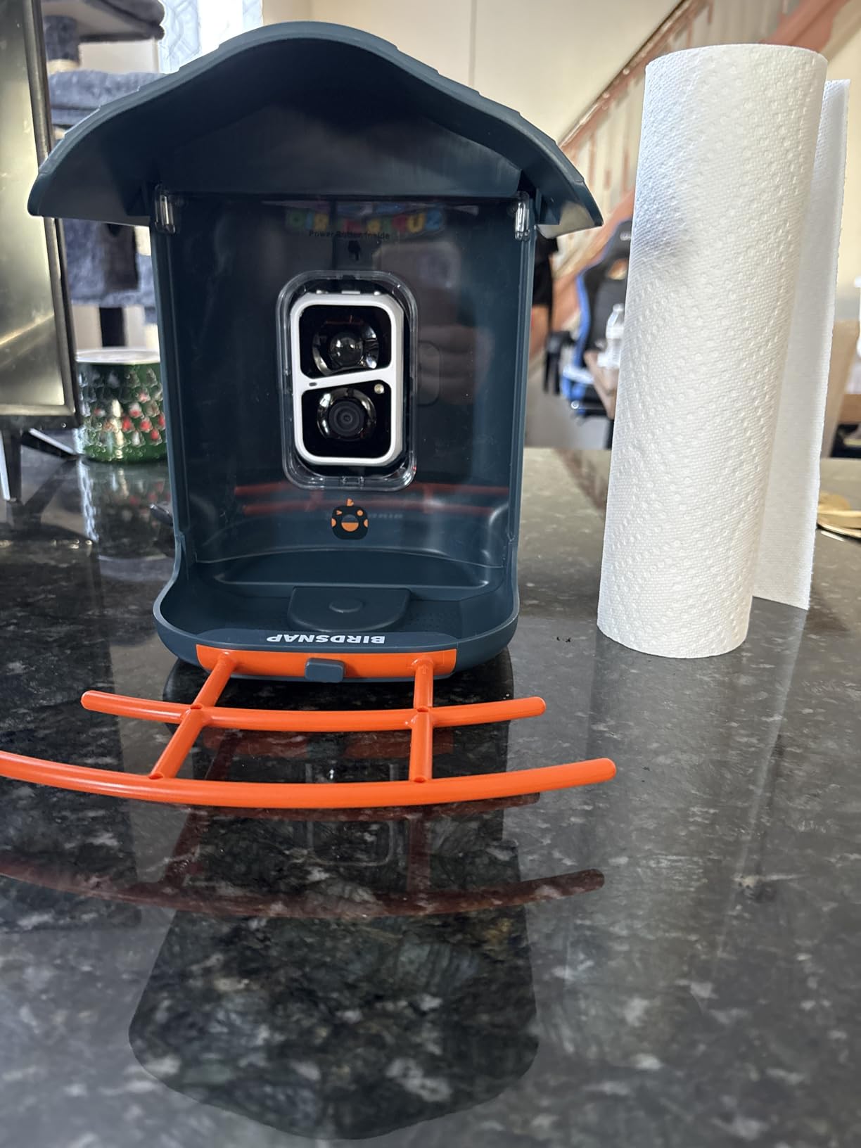 birdsnap® PAV Bird Feeder with Camera Solar Powered 2K Live Video 32GB Card customer photo 1