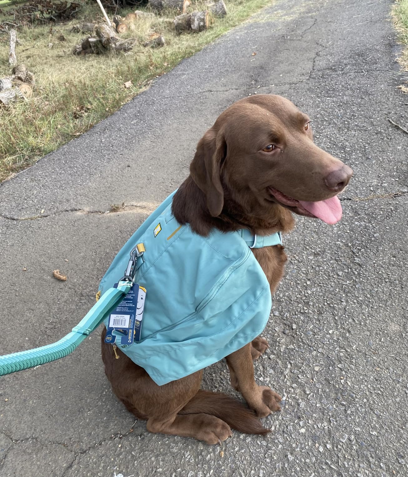 Ruffwear, Front Range Day Pack, Basalt Gray, Large/X-Large customer photo 2