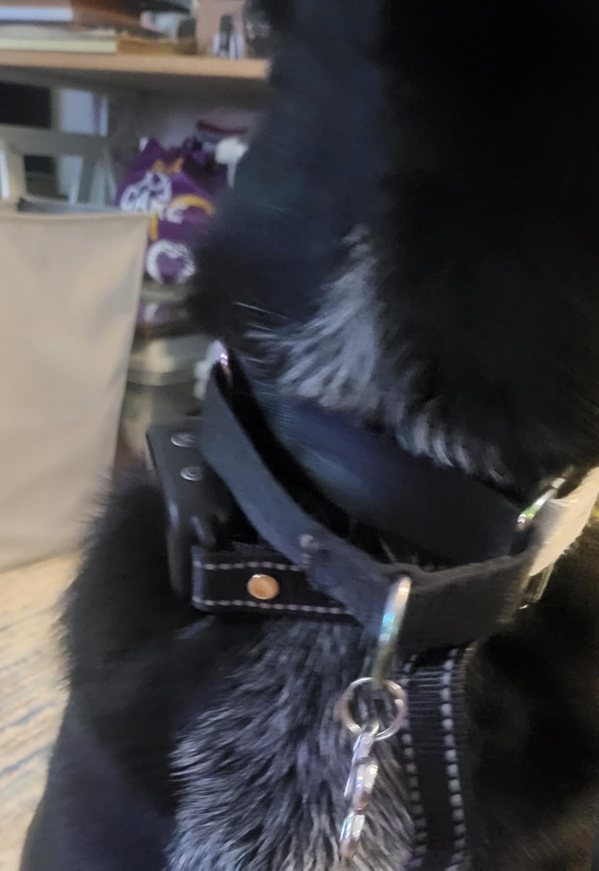 DINJOO Smart Bark Collar - Rechargeable Anti Barking Training Collar with 8 Adjustable Sensitivity, Beep & Shock (Dark Black) for Large, Medium & Small Dogs customer photo 2