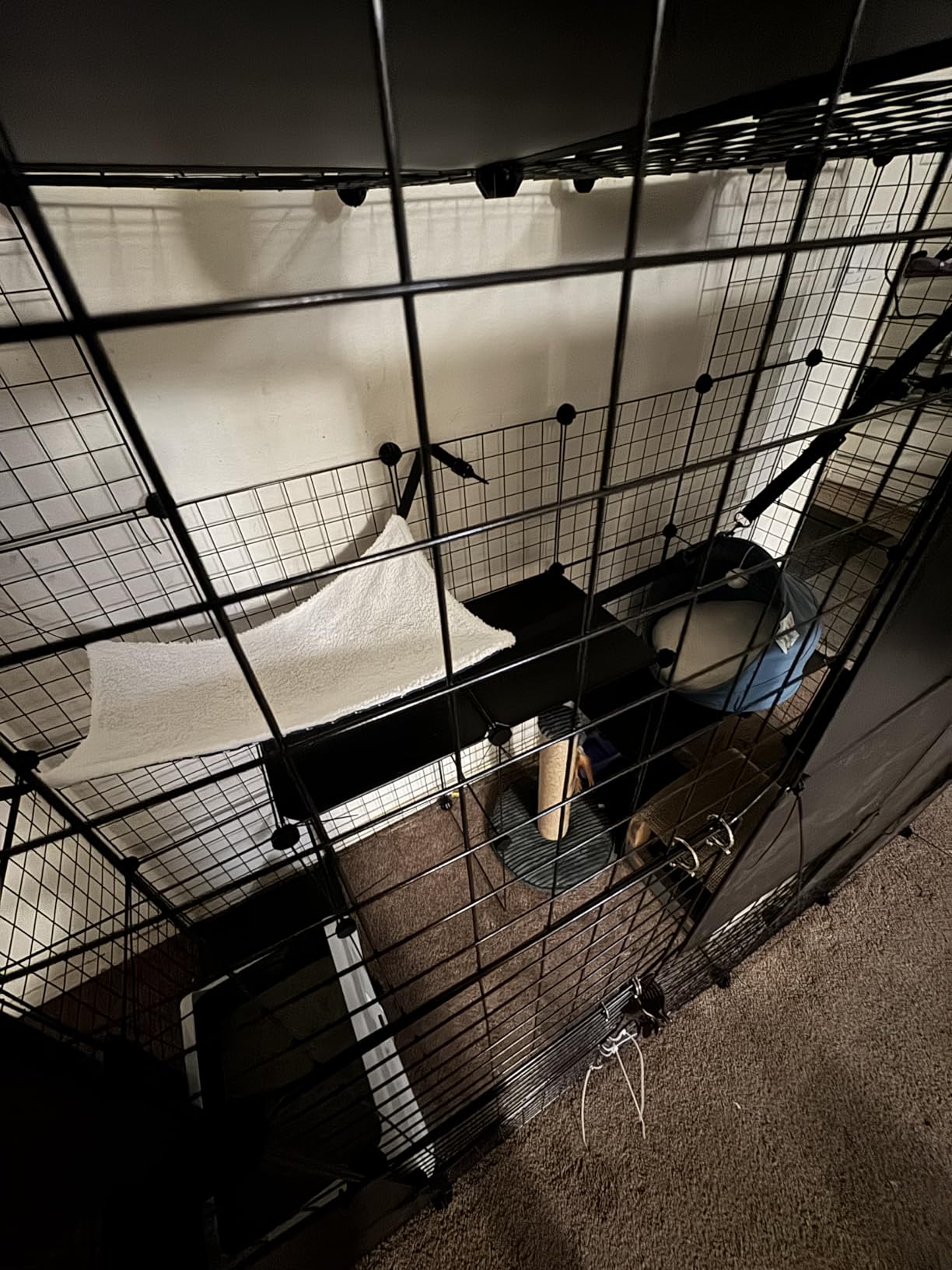 PAWING Cat Large Enclosure - DIY Catio Ideal for 1-3 Cats, Indoor & Outdoor, Detachable Metal Wire Kennel, 2x3x4 Exercise Place customer photo 2