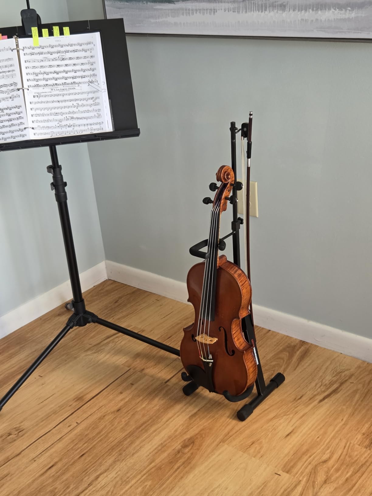Gator Frameworks GFW-BNO-CELLOBASS Adjustable Stand for Cello and Double Bass customer photo 2