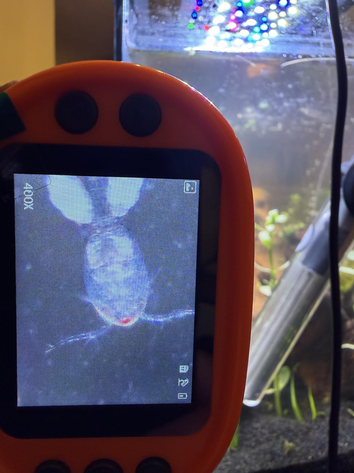 Kids Digital Microscope STEM Toy: Complete Science Gift Kit for Ages 4-12 customer photo 1