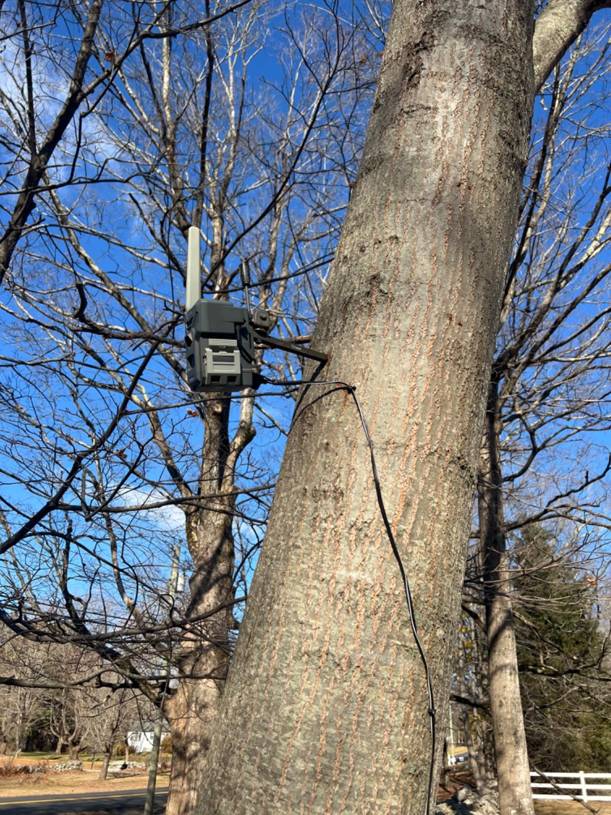SPYPOINT Flex-Plus Cellular Trail Camera, 36MP Photos and 1080p Videos w/Sound, Double The Battery Capacity, GPS-Enabled, Dual-SIM LTE Connectivity, 100' Flash & Detection Range, 4 Capture Modes customer photo 2