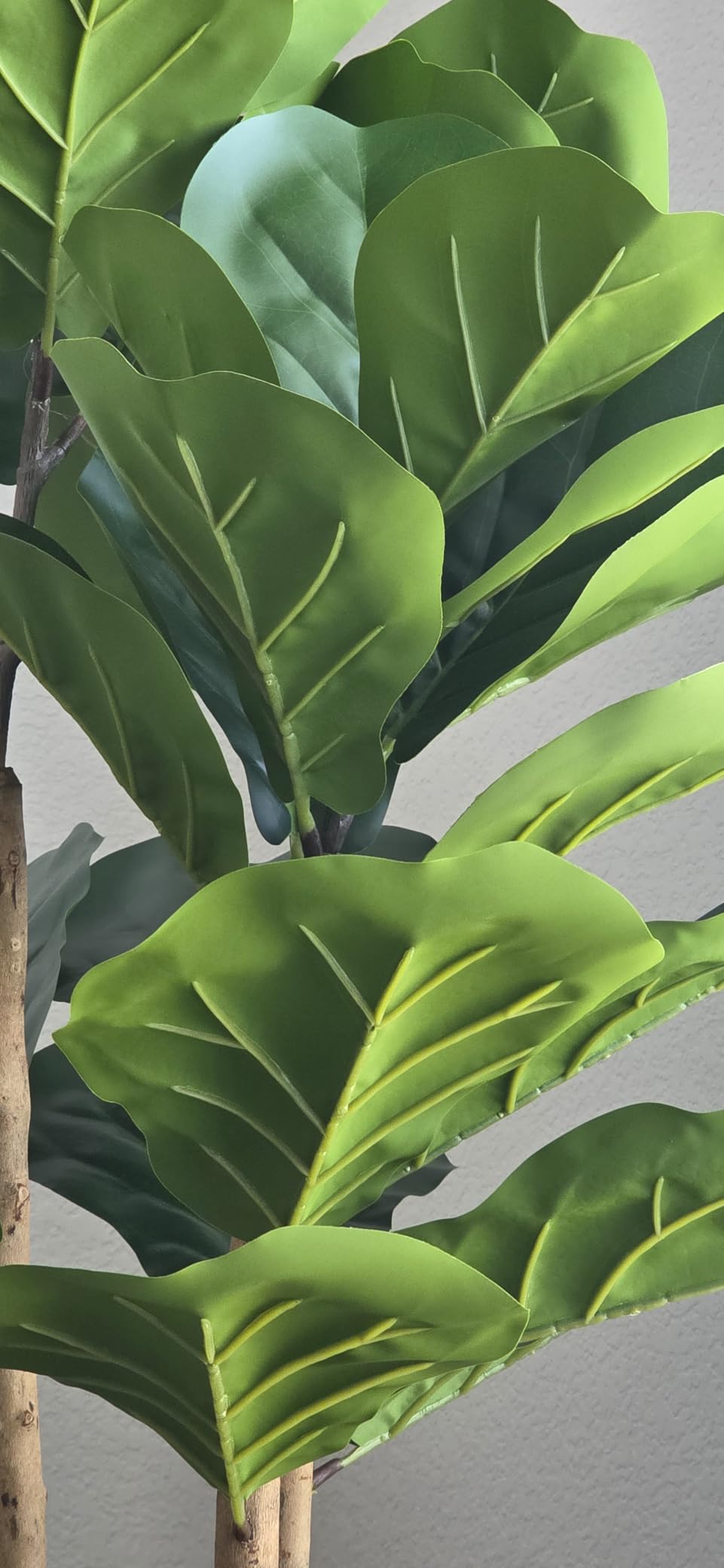 Artificial Fiddle Leaf Fig Tree with White Planter,5ft Tall Fake Tree with Natural Wood Trunk for Home Decor, Faux Ficus Tree Fake Moss for Indoor Office Living Room customer photo 1