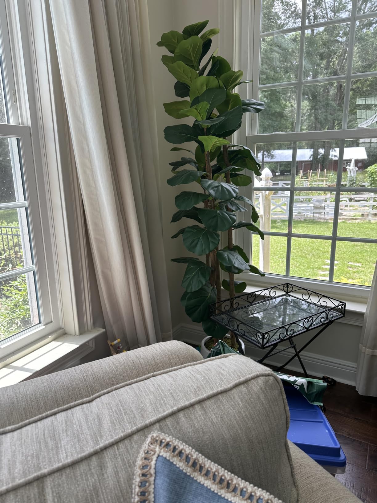 Artificial Fiddle Leaf Fig Tree with White Planter,5ft Tall Fake Tree with Natural Wood Trunk for Home Decor, Faux Ficus Tree Fake Moss for Indoor Office Living Room customer photo 2