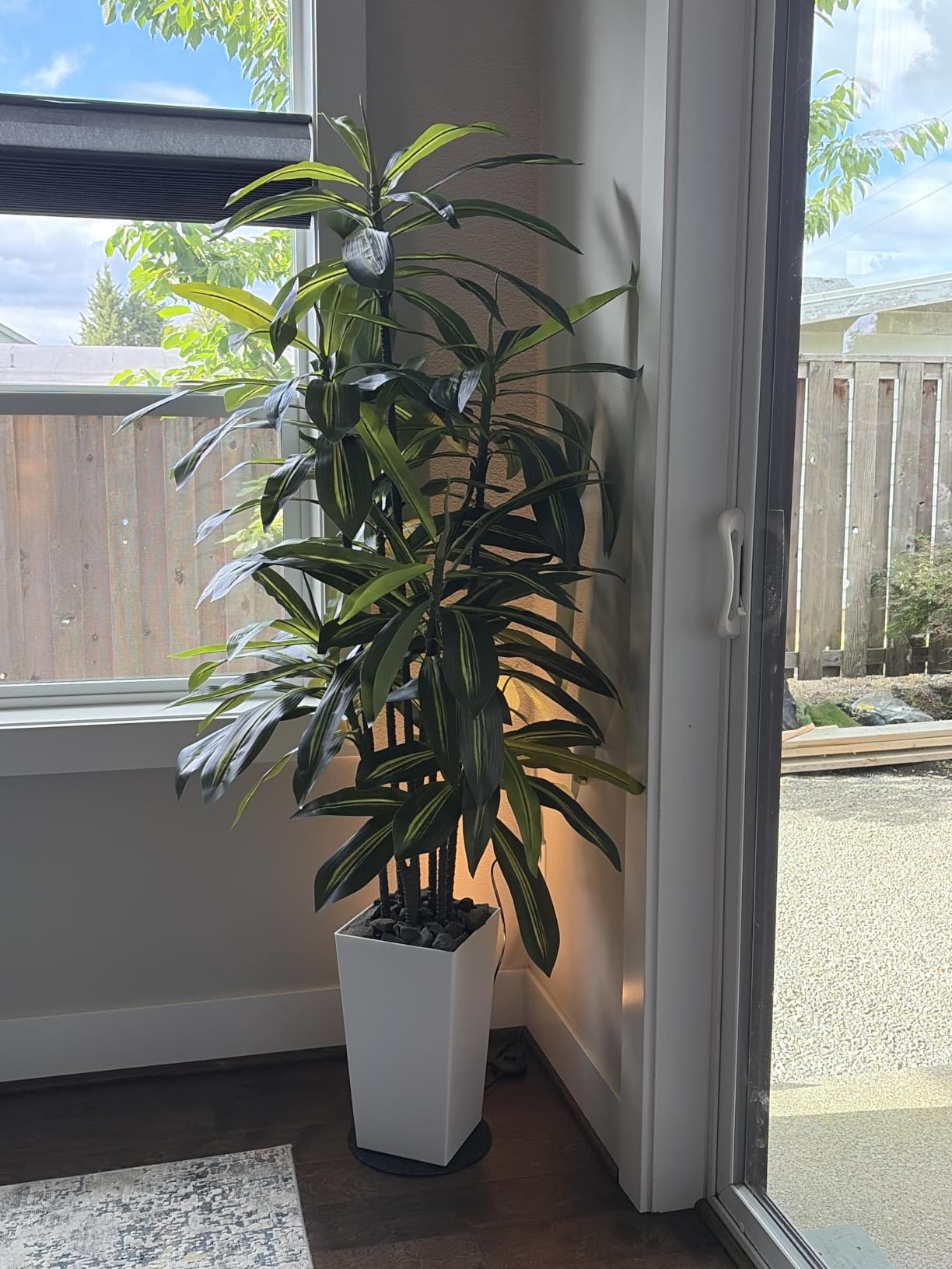 ASTIDY Artificial Plant 5FT Dracaena Fake Tree with White Tall Planter customer photo 2