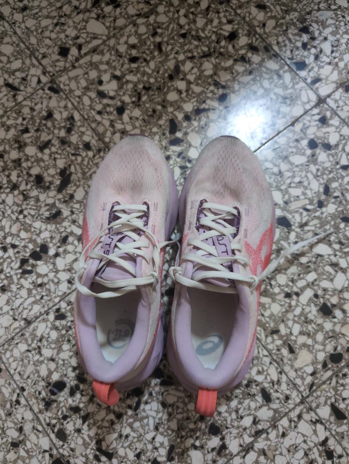 ASICS Women's NOVABLAST 5 TR Running Shoes customer photo 2