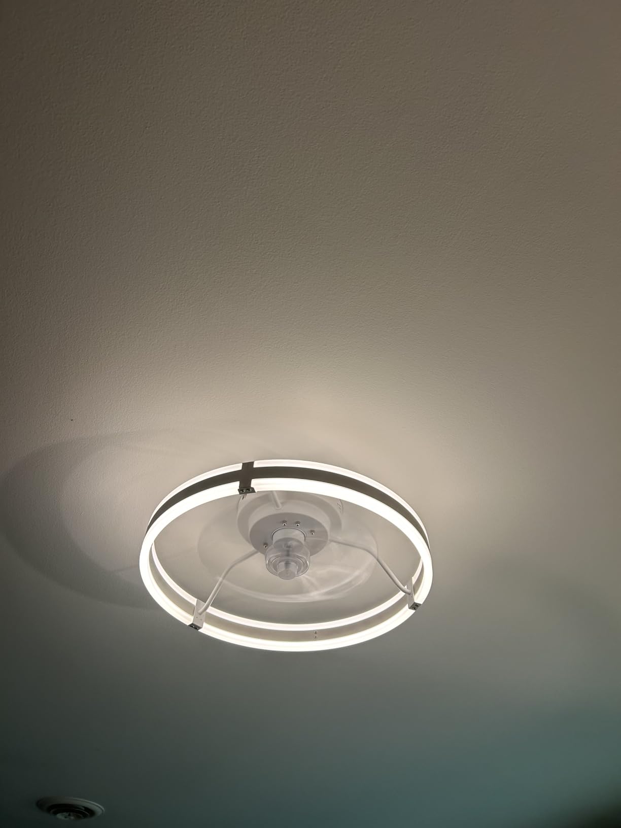 ZMISHIBO Low Profile 19.7'' Ceiling Fans with Lights and Remote, Black customer photo 1