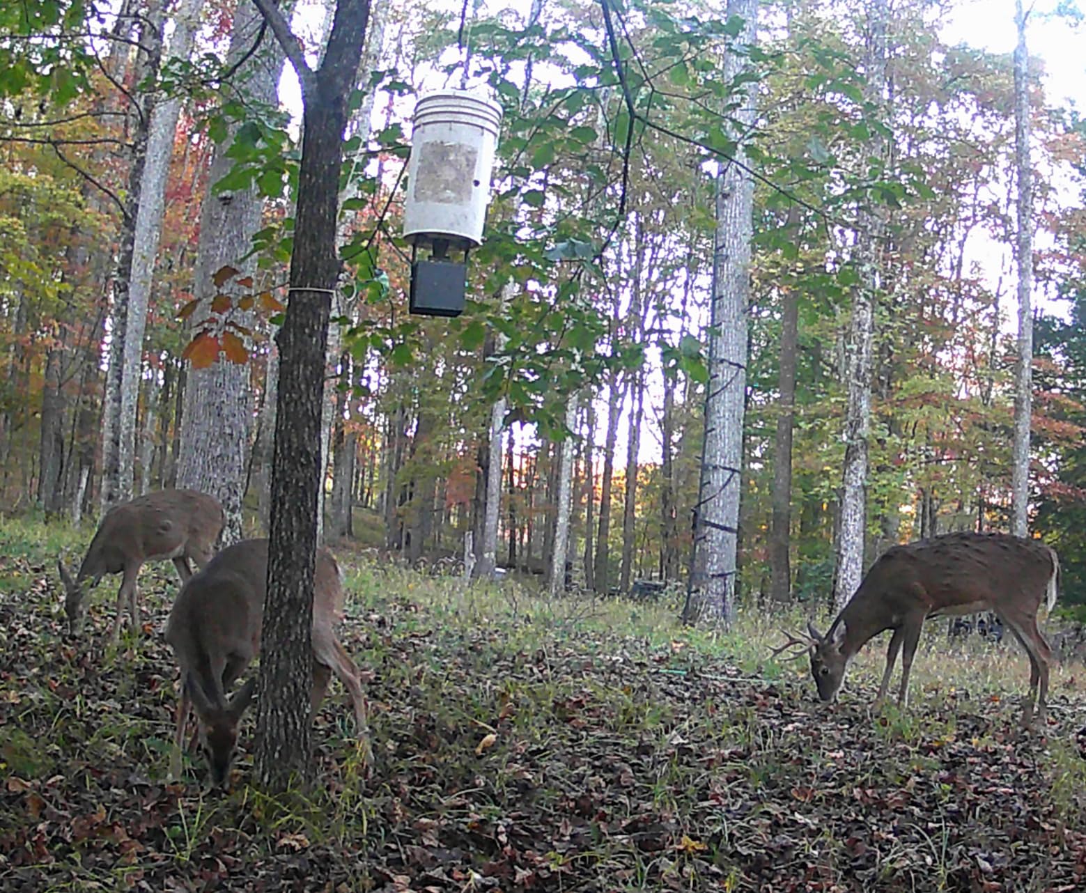 6V Deer Feeder Kit, Motor and Timer Metal Kit, Digital Game FeederTimer, Mounting Bracket Included, Up to 8 Feed Time, Easy to Install, Weatherproof Feed Kit customer photo 1