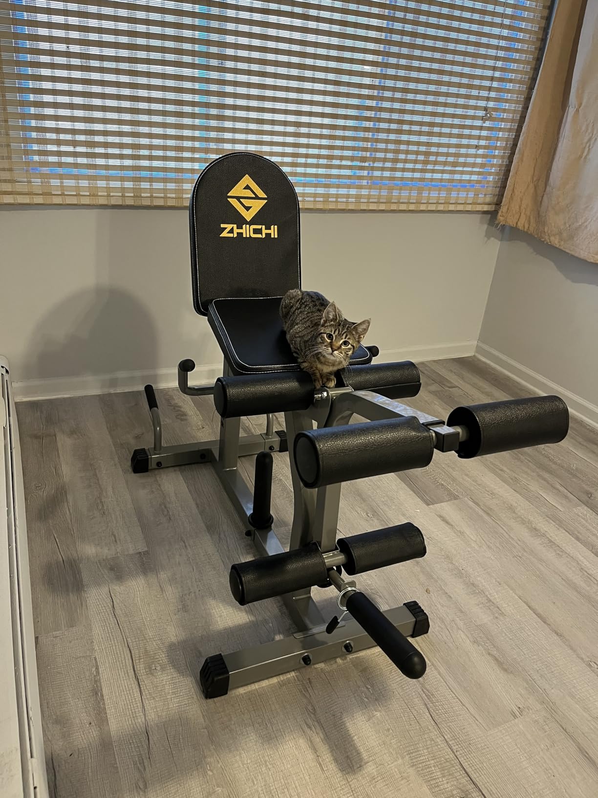 Z ZHICHI 2-in-1 Leg Curl/Extension Machine,Home Use,Burn quads/Calves Fast customer photo 2
