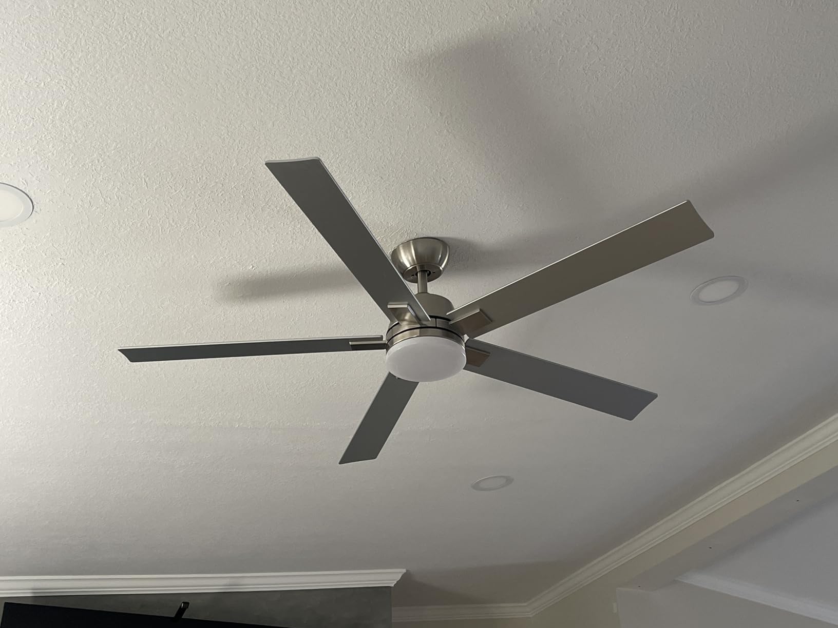 Rayqueen 52 Inch Black Ceiling Fans with Lights and Remote,Includes Downrod customer photo 1