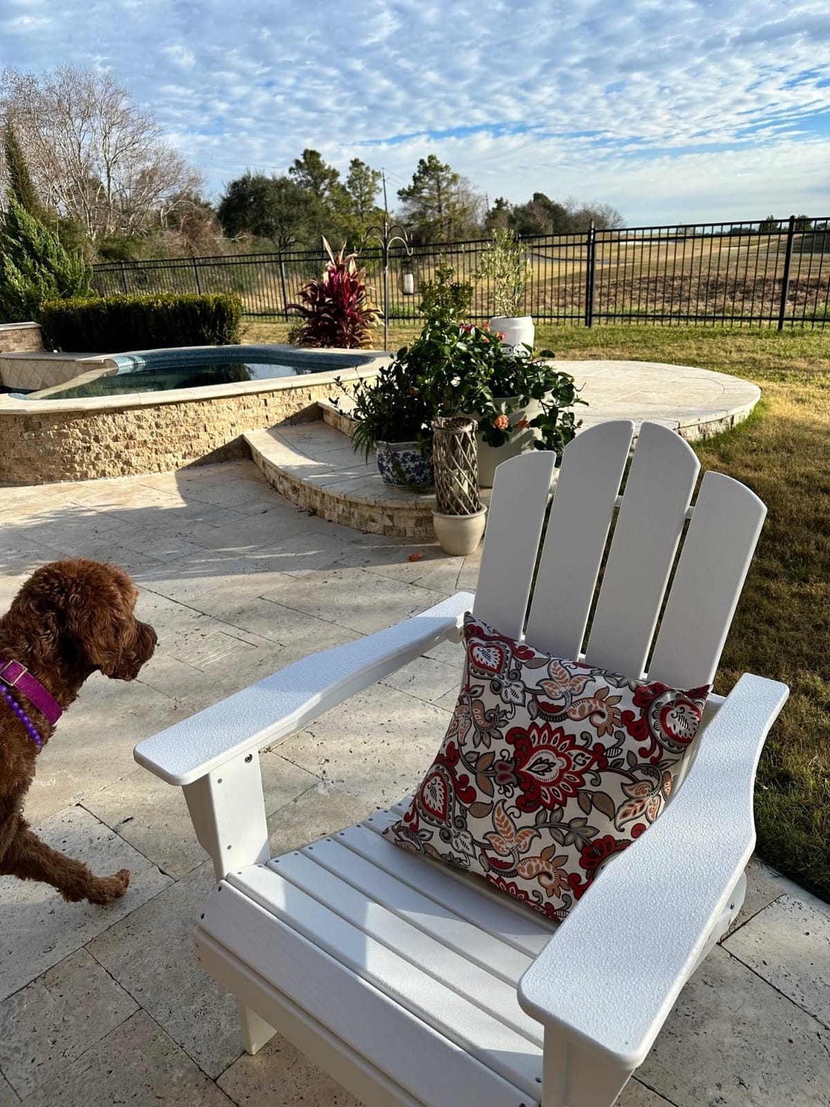 KINGYES Folding Adirondack Chair, All-Weather HDPE Material, Black, 8 Pack customer photo 2