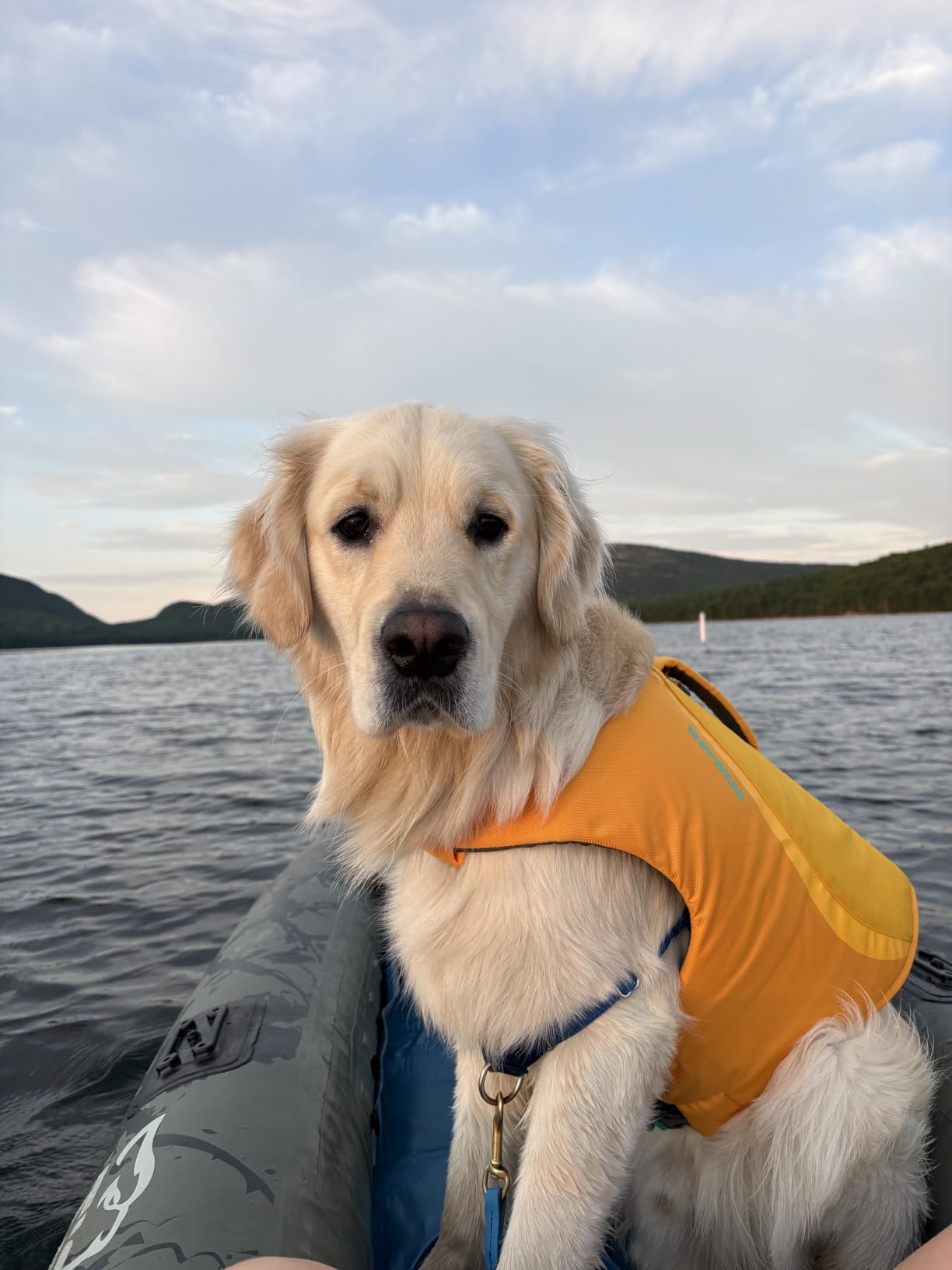 Ruffwear, Float Coat Dog Life Jacket, Swim Vest, Deep Blue, Small customer photo 1