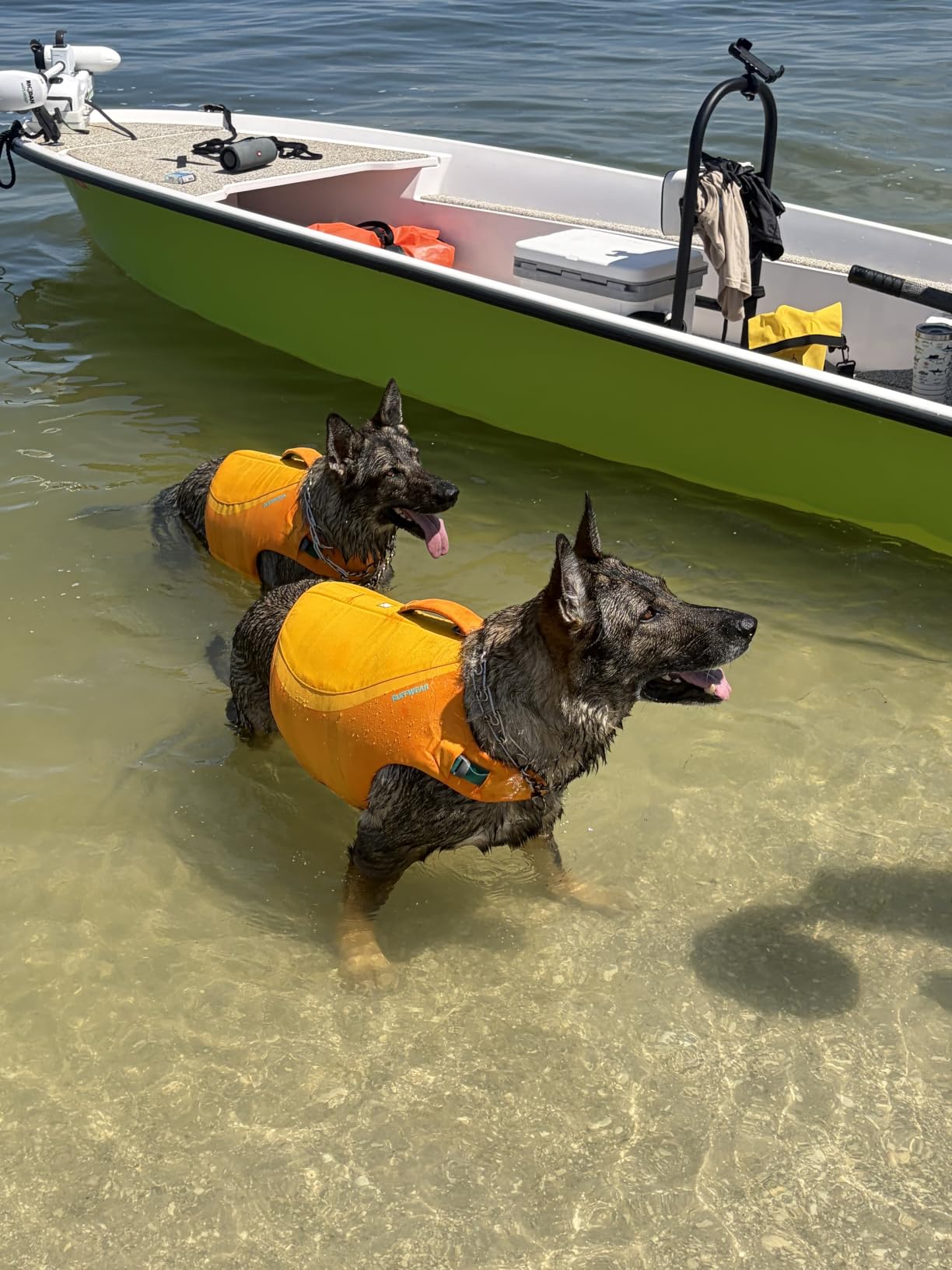 Ruffwear, Float Coat Dog Life Jacket, Swim Vest, Deep Blue, Small customer photo 2