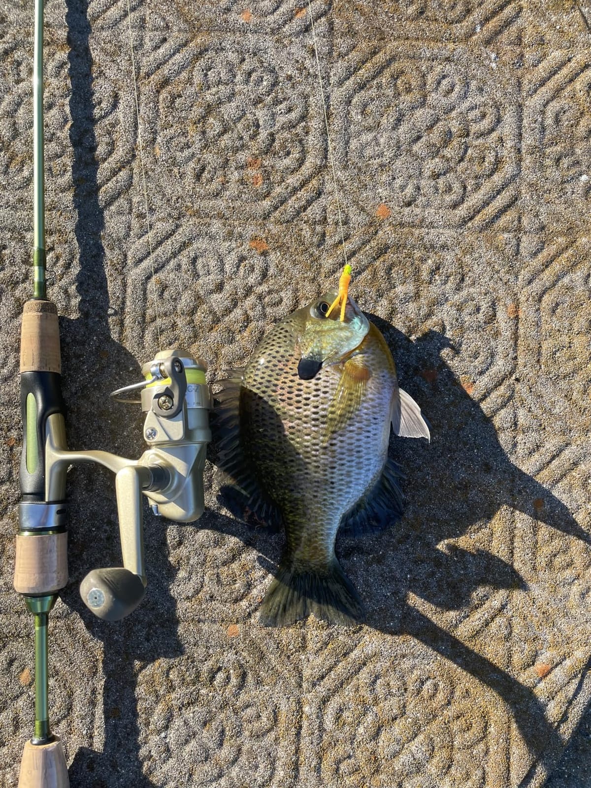 LITTMA Wild Streams Ultralight Spinning&Casting Trout Rod, 2-Piece Fishing Rod for Crappie, Panfish & Micro Fishing, Green Carbon Fiber Blank with Cork Handle, 5’6”/6’/6’6”/7’ customer photo 2